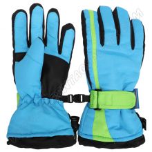 Ski Gloves