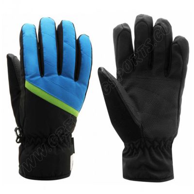 Ski Gloves