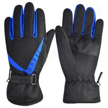 Ski Gloves